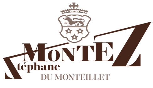 Logo Montez